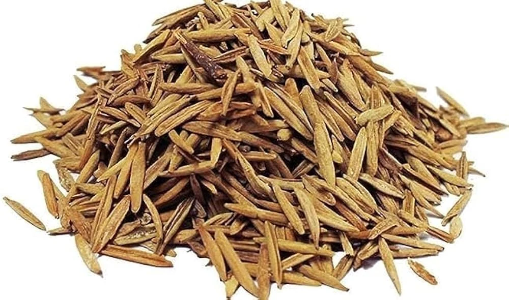 Indrajaun (Holarrhena pubescens) used in Amrit (Anti Dycentrical)