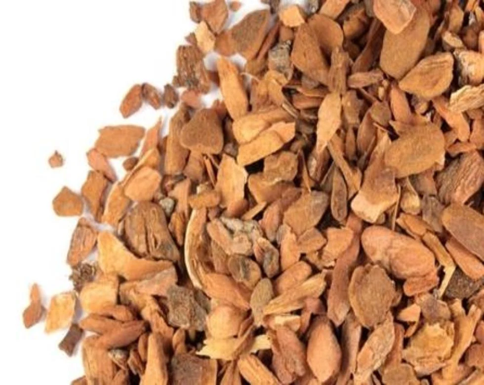Kapasmool (Gossypium herbaceum) used in M.C Plus