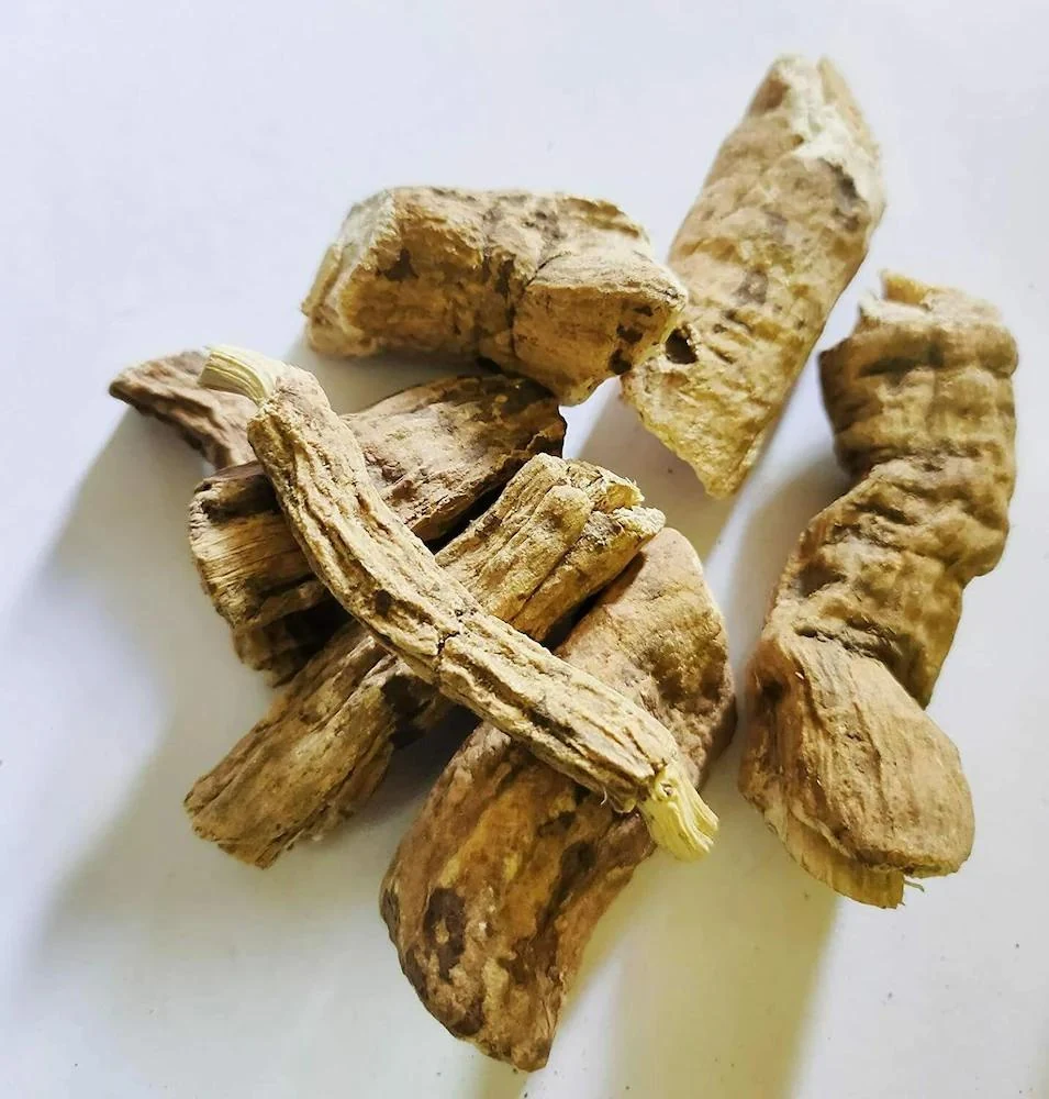 Nisoth (Operculina turpethum) used in Mangal Prabhat (Laxative Churan)