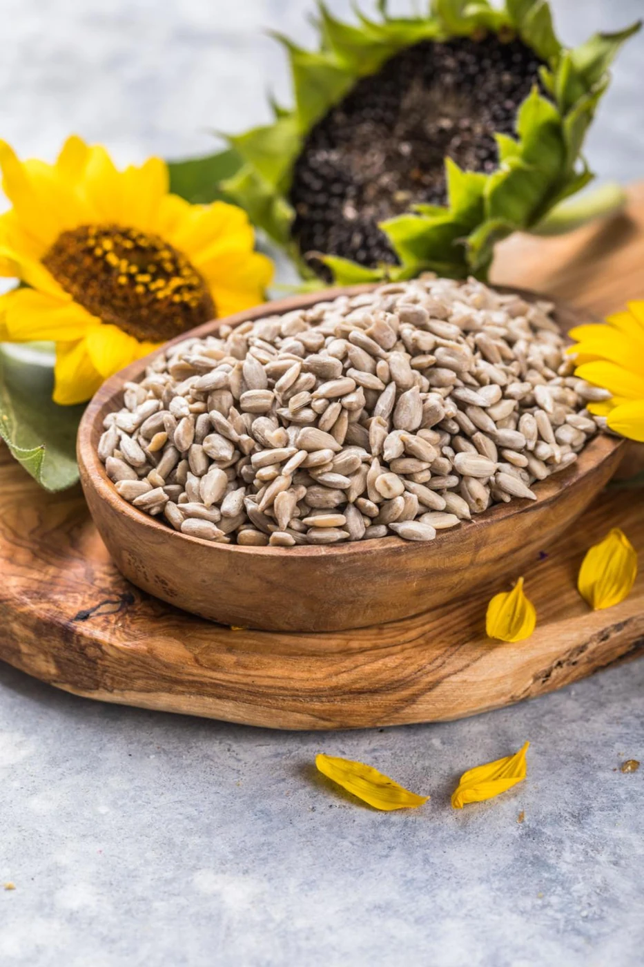 Surajmukhi (Helianthus annuus) used in EAROL